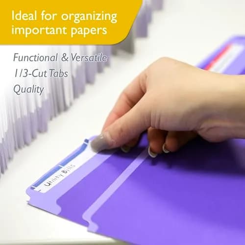 BAZIC PRODUCTS Color File Folders, Letter Size, 1/3-Cut Tabs, Assorted Colors (6-Count), 4-Pack | Organize Documents with Staggered Tabs thumbnail 3