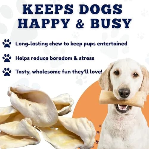 Amazing Dog Treats Cow Ears for Dogs 12 Pack | Natural, High Protein, All Natural Rawhide Alternative thumbnail 6