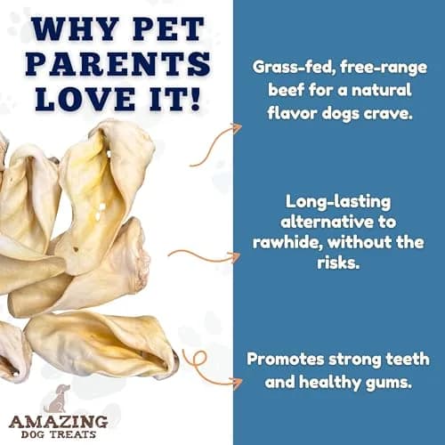 Amazing Dog Treats Cow Ears 25 Pack | Natural, Thick-Cut Beef Chew for Dogs thumbnail 3