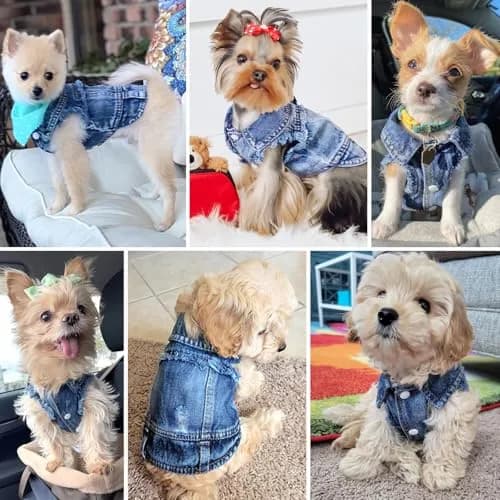 Brocarp Dog Jeans Jacket Pet Denim Vest for Small Dogs & Puppies | Four-Season Comfort & Style thumbnail 4