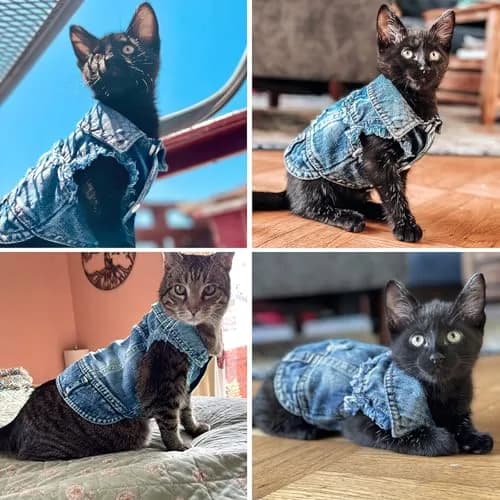 Brocarp Dog Jeans Jacket Pet Denim Vest for Small Dogs & Puppies | Four-Season Comfort & Style thumbnail 8