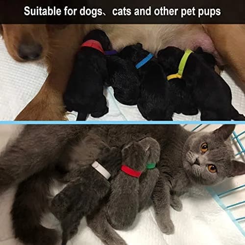 FEBSNOW Puppy Whelping Collars 30 Pcs - 15 Colors | Soft Newborn Pet ID Bands for Dogs & Kittens thumbnail 6