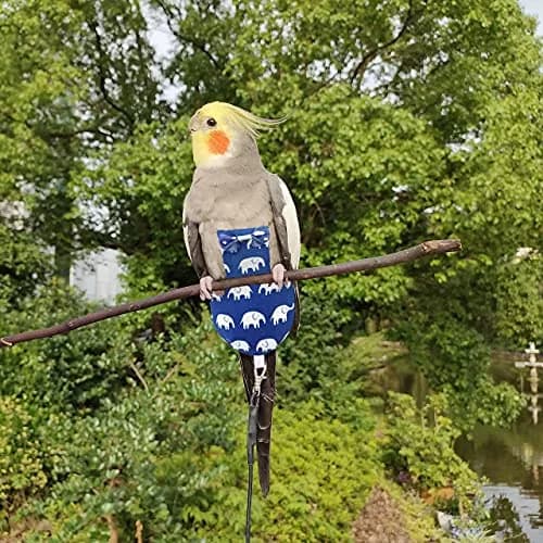 VANFAVORI Bird Diaper Flight Suit with 80-inch Leash S Elephant | Bird Pet Diaper & Leash thumbnail 6
