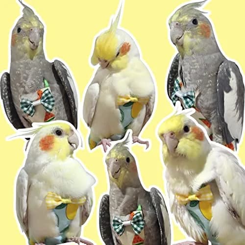 VANFAVORI Bird Diaper Flight Suit with Leash S Size | Lightweight, Waterproof Bird Diaper for Small Birds thumbnail 5