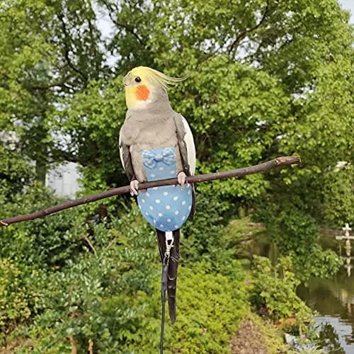 VANFAVORI Bird Diaper Flight Suit with Leash S Size | Lightweight, Waterproof Bird Diaper for Small Birds thumbnail 6