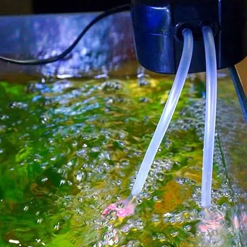 QJZXUEZHEN Silicone Tube 2mm ID x 4mm OD | Clear Flexible Silicone Rubber Tubing for Liquids & Gases in India thumbnail 6