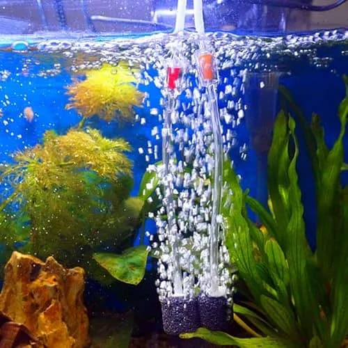 QJZXUEZHEN Silicone Tube 2mm ID x 4mm OD | Clear Flexible Silicone Rubber Tubing for Liquids & Gases in India thumbnail 7