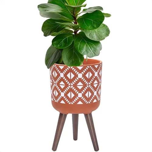 D'vine Dev Planter Pot with Wood Stand, 10 in, Terracotta/White | Mid-Century Modern Indoor Plant Display thumbnail 7