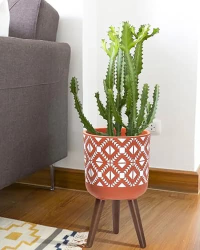 D'vine Dev Planter Pot with Wood Stand, 10 in, Terracotta/White | Mid-Century Modern Indoor Plant Display thumbnail 2