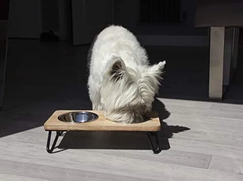 Rosewood Raised Wood Dog Bowl for Medium Dogs & Cats | Nordic Style Elevated Stand, Stainless Steel Bowls (Medium) thumbnail 6