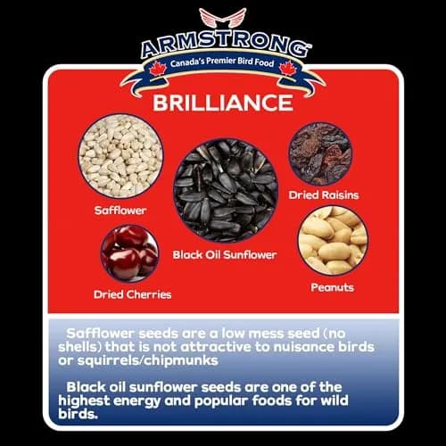 Armstrong Bird Food Royal Jubilee Brilliance Blend 4 lbs | Premium Wild Bird Seed for Northern Cardinals & Songbirds thumbnail 4