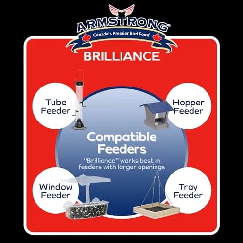 Armstrong Bird Food Royal Jubilee Brilliance Blend 4 lbs | Premium Wild Bird Seed for Northern Cardinals & Songbirds thumbnail 5