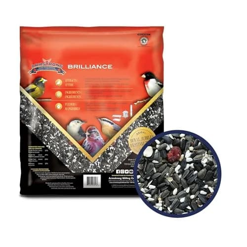 Armstrong Bird Food Royal Jubilee Brilliance Blend 4 lbs | Premium Wild Bird Seed for Northern Cardinals & Songbirds thumbnail 2