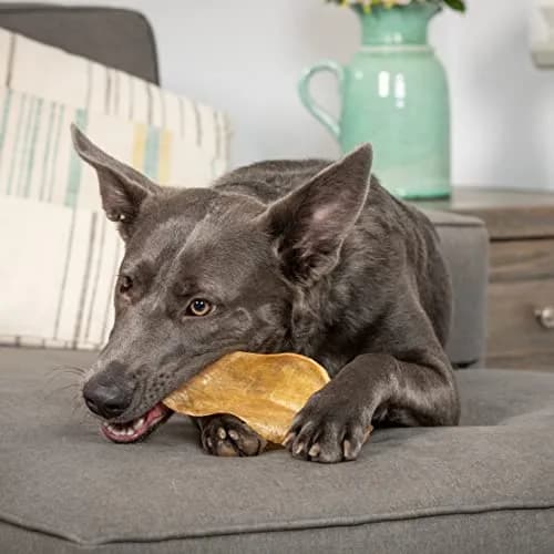 Wild Eats Water Buffalo Prime Bone Assortment Dog Chews 11 Pack, Grain Free | All Natural, Healthy & Grain Free Dog Treats thumbnail 3