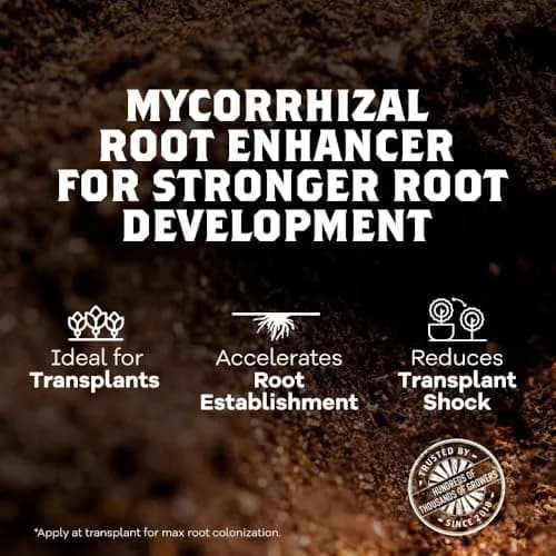 DYNOMYCO Mycorrhizal Fungi Inoculant 340g | Boosts Root Growth & Harvests thumbnail 5