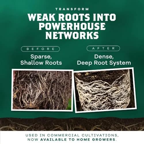 DYNOMYCO Mycorrhizal Fungi Inoculant 340g | Boosts Root Growth & Harvests thumbnail 3