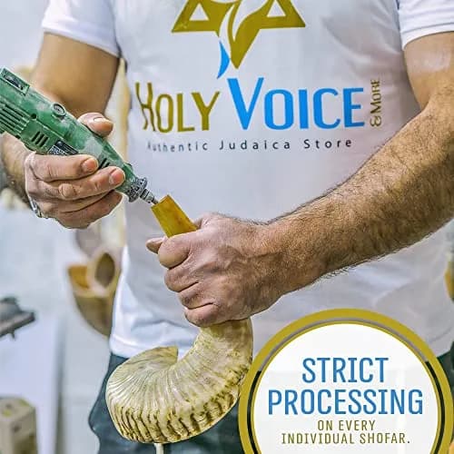 Holy Voice Kosher Ram Shofar Horn 35-40cm (14"-16") | Half Polished Traditional Jewish Musical Instrument thumbnail 4