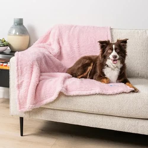 PetAmi Fluffy Sherpa Waterproof Dog Blanket Large 40x60 inches (101.6x152.4 cm) Pink | Protects Furniture from Pet Messes thumbnail 1