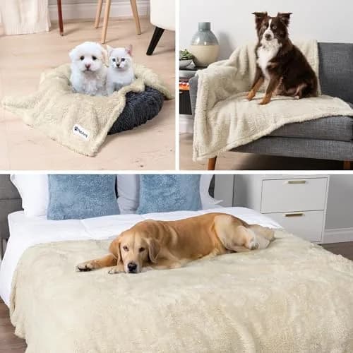 PetAmi Fluffy Sherpa Waterproof Dog Blanket Small 24x32 inches (61x81 cm) | Protects Furniture from Pet Messes thumbnail 6