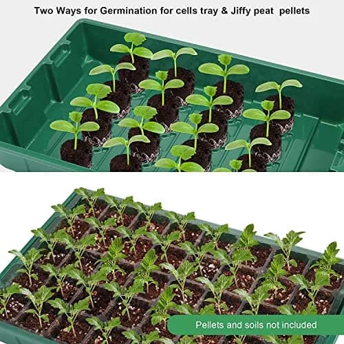 MIXC 5 Pack Seed Starter Tray, 40-Cell 5-Pack | Transparent Plastic Germination Kit for Indoor & Outdoor Gardening thumbnail 2