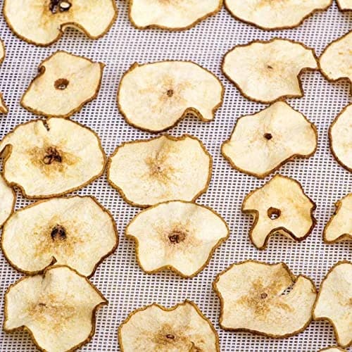 Cystarry Food Dehydrator Sheets 15.7" x 15.7" | Reusable Silicone Mesh for Fruit & Vegetables thumbnail 6
