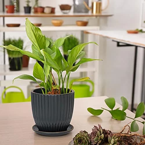 D'vine Dev 2-Pack Stoneware Planter Pots, 4.5/5.8 in, Charcoal Grey | Modern Ribbed Ceramic Indoor Planters thumbnail 2