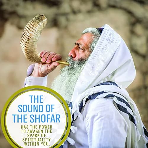 Holy Voice Kosher Ram Shofar Horn 50cm-55cm (20"-22") | Authentic Jewish Musical Instrument from Israel thumbnail 4