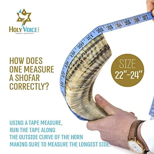 Holy Voice Kosher Ram Shofar Horn 55-60cm (22"-24") | Authentic Jewish Musical Instrument thumbnail 5