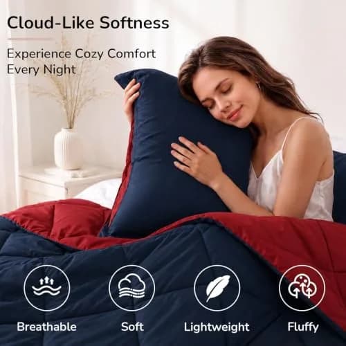 downluxe Twin Comforter Set Soft Reversible 2 Pieces | All-Season Cozy Bedding thumbnail 3