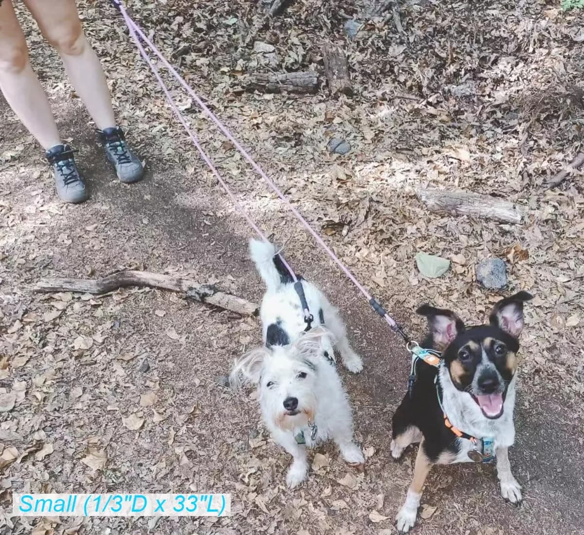 Mycicy Double Dog Leash Coupler 0.8cm (1/3") x 84cm (33") | Tangle-Free Dual Dog Lead for 4.5-16kg Dogs - view 6