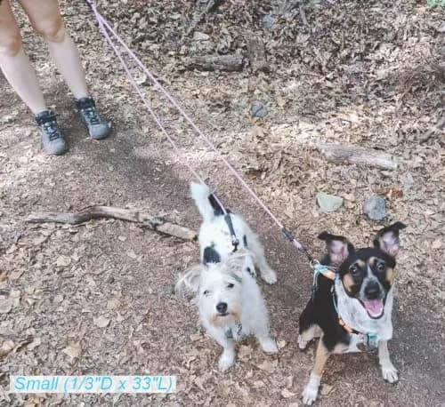 Mycicy Double Dog Leash Coupler 0.8cm (1/3") x 84cm (33") | Tangle-Free Dual Dog Lead for 4.5-16kg Dogs thumbnail 6