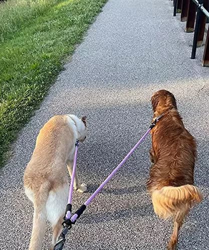 Mycicy Double Dog Leash Coupler 0.8cm (1/3") x 84cm (33") | Tangle-Free Dual Dog Lead for 4.5-16kg Dogs thumbnail 8