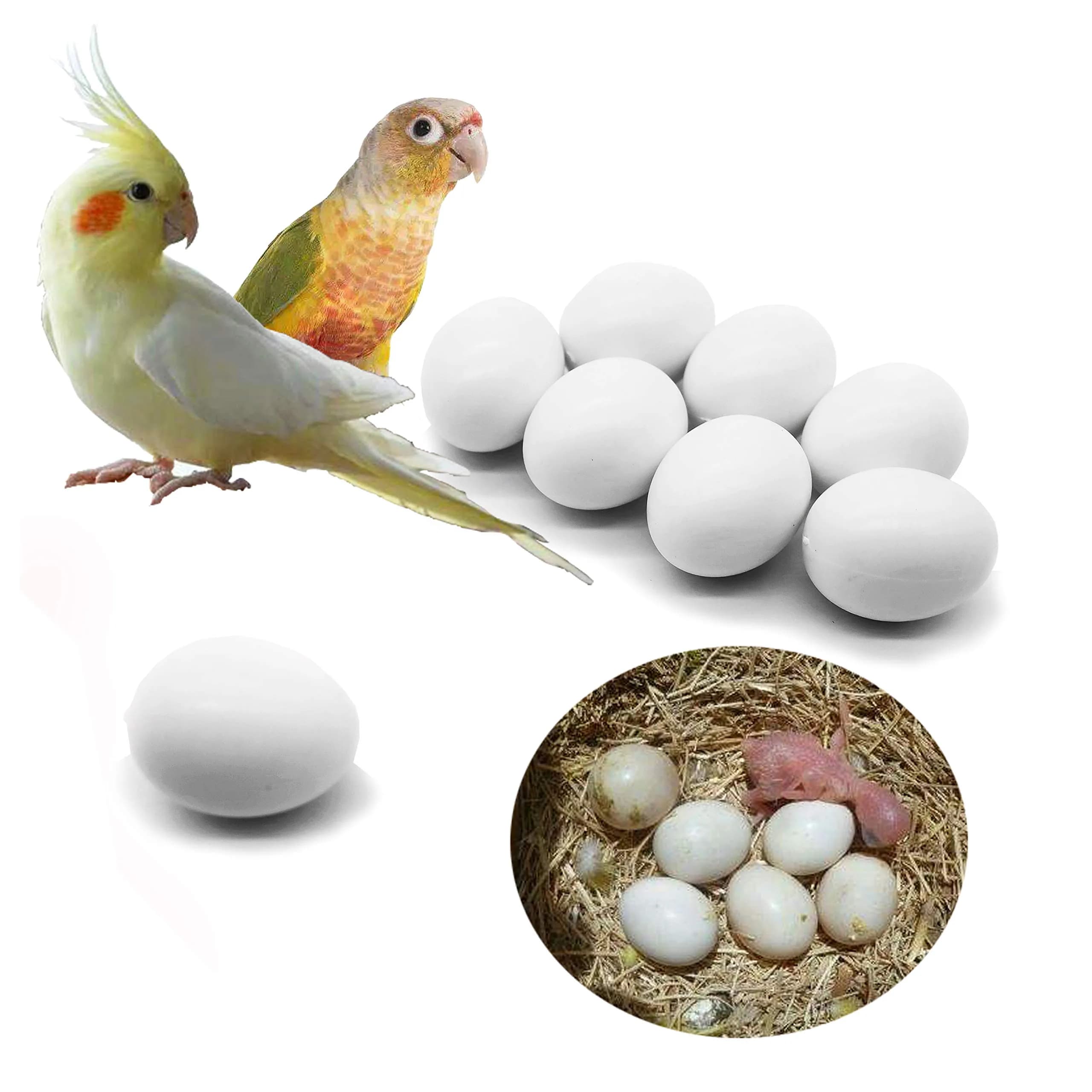 FOIBURELY Solid Parrot Plastic Eggs 8 Pcs | 26mm (1") x 21mm (0.83")