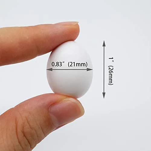 FOIBURELY Solid Parrot Plastic Eggs 8 Pcs | 26mm (1") x 21mm (0.83") thumbnail 2