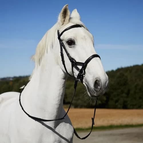 HORZE Denver Soft Leather Pony Side Pull Bitless Bridle | Web Reins Included - Black thumbnail 5