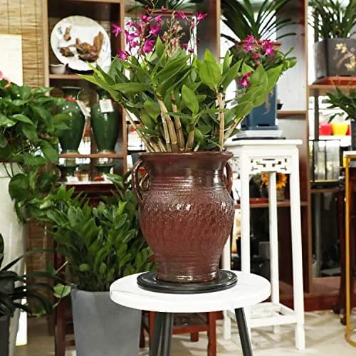 ZELARMAN 8" (20.32 cm) Heavy Duty Rotating Garden Swivel Stand | Smooth 360° Rotation for Bonsai Trimming & Display thumbnail 6