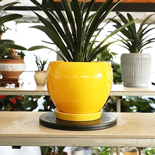 ZELARMAN Heavy Duty Rotating Garden Swivel Stand 30cm (12 Inch) | For Easy Trimming and Displaying Potted Plants thumbnail 4