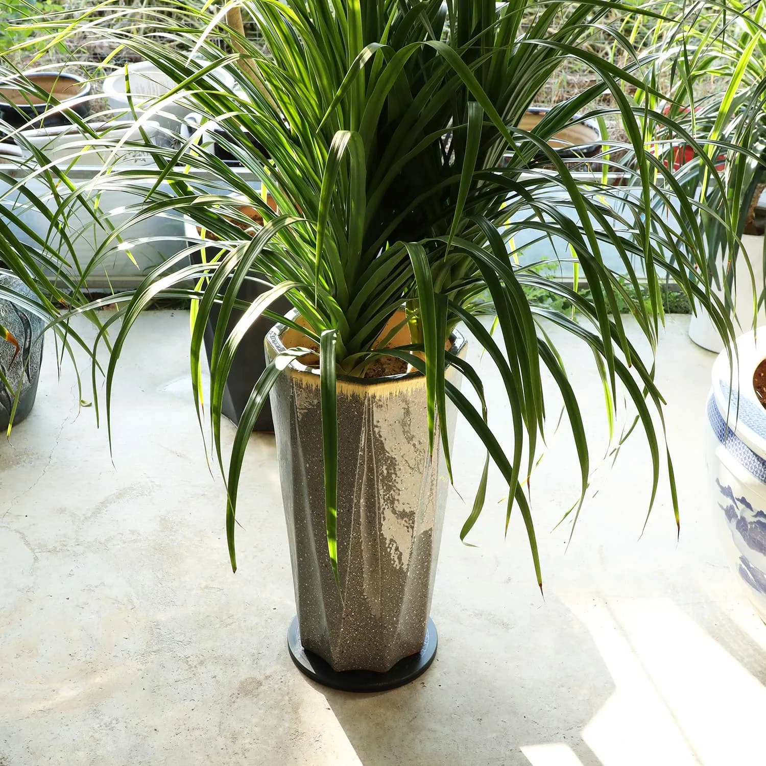 ZELARMAN Heavy Duty Rotating Garden Swivel Stand 30cm (12 Inch) | For Easy Trimming and Displaying Potted Plants - view 5
