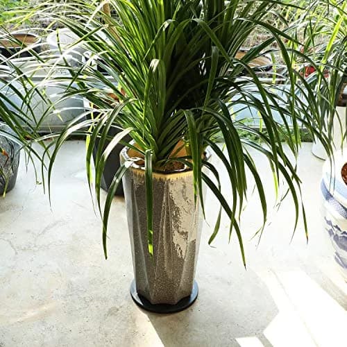 ZELARMAN Heavy Duty Rotating Garden Swivel Stand 30cm (12 Inch) | For Easy Trimming and Displaying Potted Plants thumbnail 5