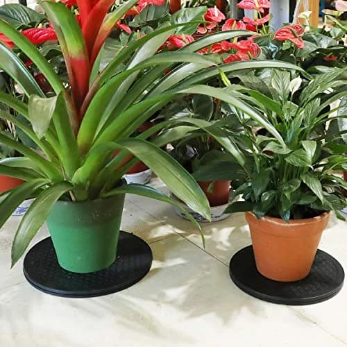 ZELARMAN Heavy Duty Rotating Garden Swivel Stand 30cm (12 Inch) | For Easy Trimming and Displaying Potted Plants thumbnail 6