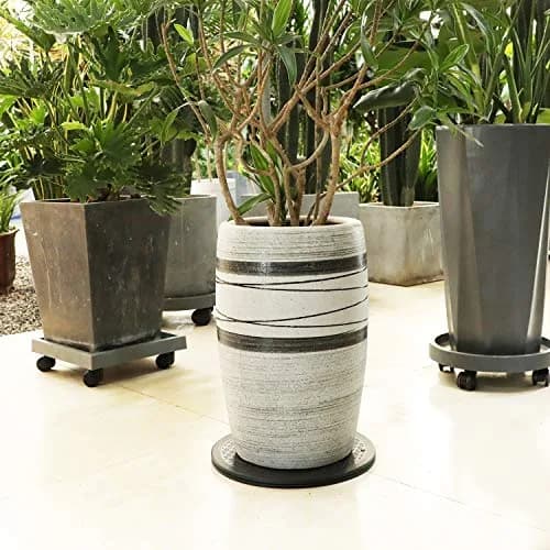 ZELARMAN Heavy Duty Rotating Garden Swivel Stand 12 inch (30.48 cm) | Smooth 360° Rotation for Bonsai & Potted Plants thumbnail 5