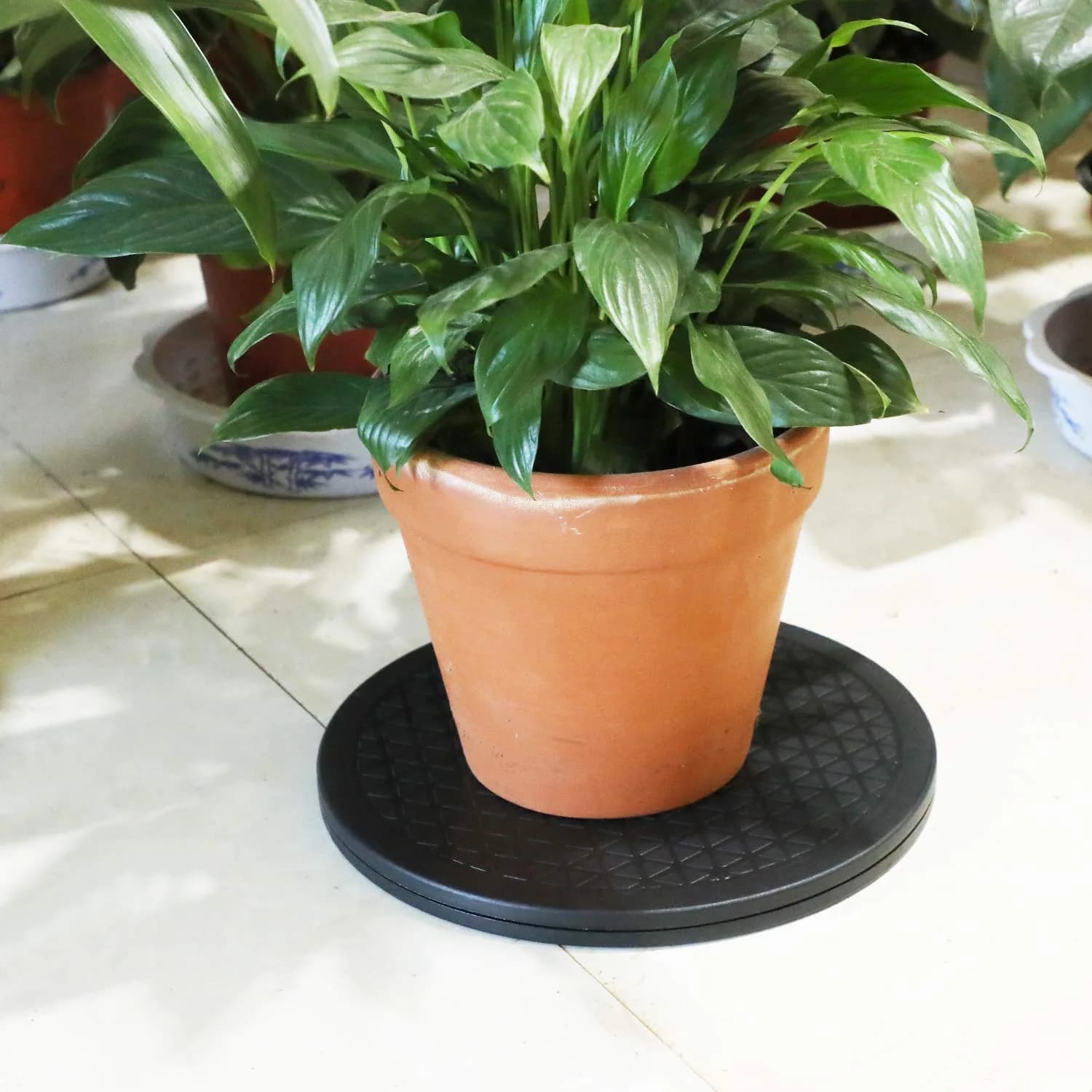 ZELARMAN Heavy Duty Rotating Garden Swivel Stand 12 inch (30.48 cm) | Smooth 360° Rotation for Bonsai & Potted Plants - view 4