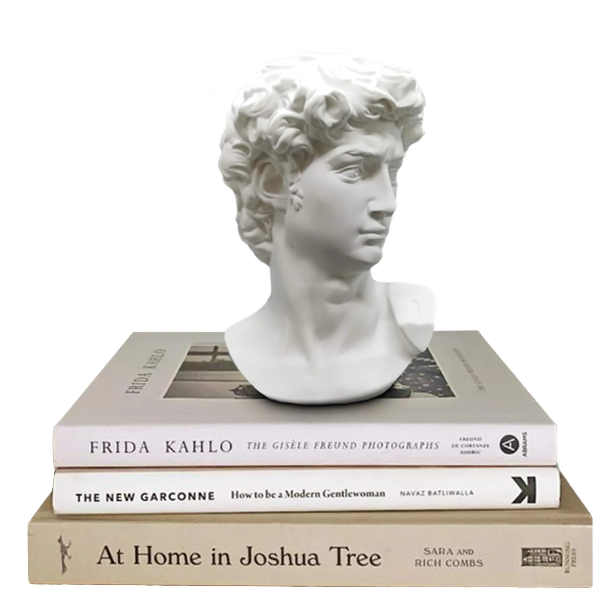 Banhey Greek Statue of David - Head Bust for Mythology and Roman Home Decor | 6-inch White Resin Bust — White