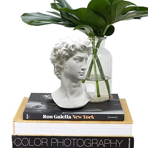 Banhey Greek Statue of David - Head Bust for Mythology and Roman Home Decor | 6-inch White Resin Bust thumbnail 4