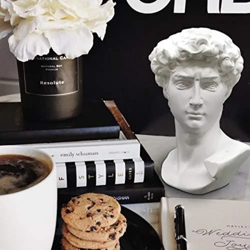 Banhey Greek Statue of David - Head Bust for Mythology and Roman Home Decor | 6-inch White Resin Bust thumbnail 2