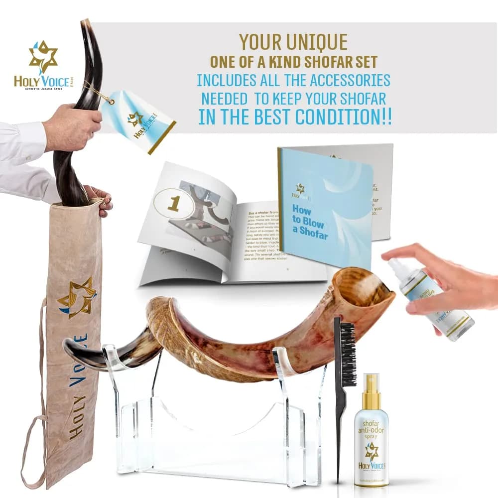 Holy Voice Kosher Kudu Shofar Horn 96.5-99cm (38"-39") | Authentic Israel Import - view 3