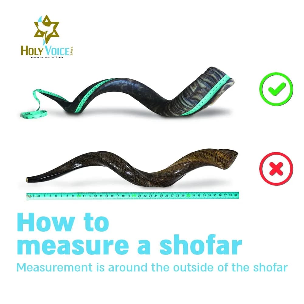 Holy Voice Kosher Kudu Shofar Horn 96.5-99cm (38"-39") | Authentic Israel Import - view 4