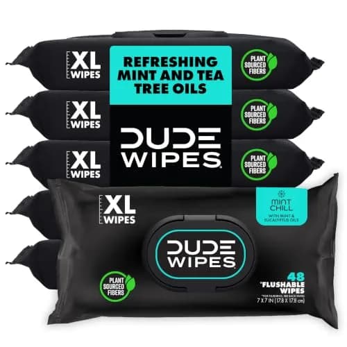 DUDE Wipes Mint Chill Adult Flushable Wet Wipes 48 Count | Refreshing, Hypoallergenic & Sewer Safe thumbnail 1