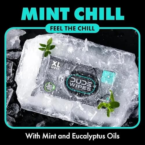 DUDE Wipes Mint Chill Adult Flushable Wet Wipes 48 Count | Refreshing, Hypoallergenic & Sewer Safe thumbnail 2