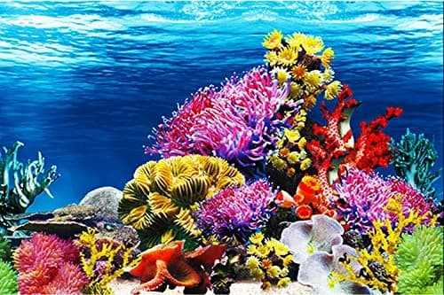 ELEBOX Fish Tank Background Paper 20" x 48" | Colorful Seaweed Water Plants Aquarium Decor thumbnail 3